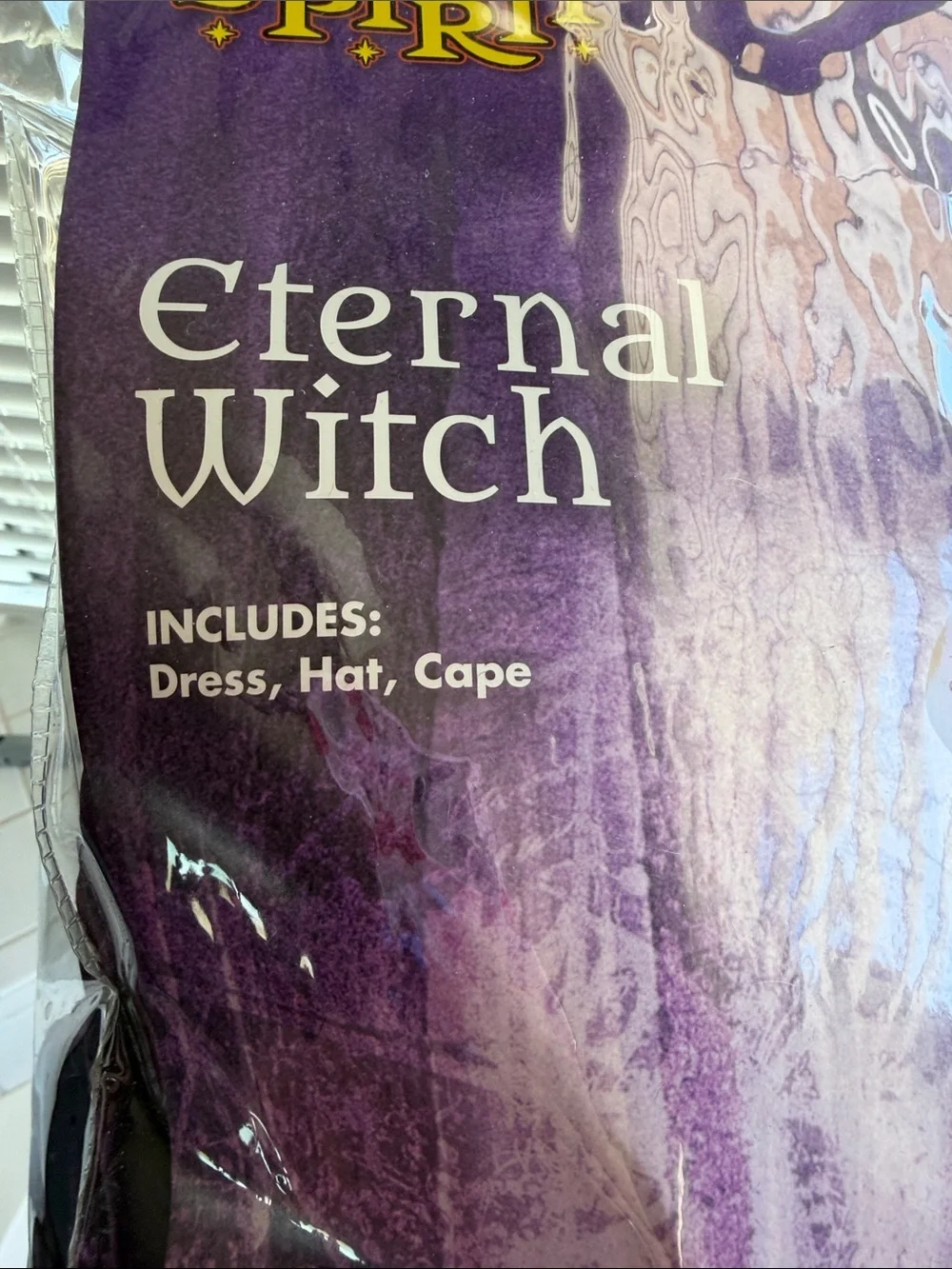 Spirit Eternal Witch Costume - Black & Purple - Picture 4 of 4